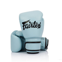 FAIRTEX Baby Blue Boxing Gloves (BGV20) 