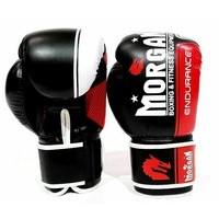 MORGAN V2 Endurance Pro Boxing Gloves (12-16Oz)
