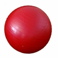 MORGAN Gym CONDITIONING Abdominal Balance Equipment Ball (55Cm)