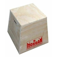 MORGAN 3 In 1 Trapezia Wooden Plyo Box 