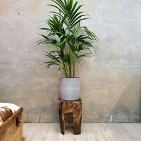 "Adam" Stool/Plant Stand/Side Table 30cm Solid Teak Wood