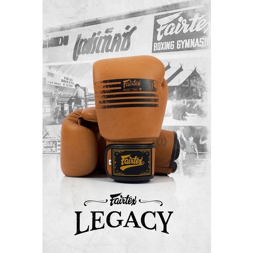 FAIRTEX Legacy Boxing Gloves (BGV21)[8oz]