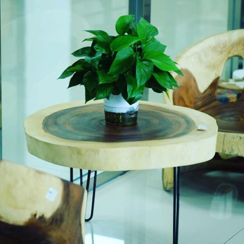 Round Raintree Wood Live Edge Coffee Table 65cm Diameter 45cm Tall